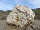 photo thumbnail #3