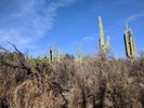 photo thumbnail #4