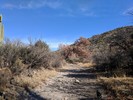 photo thumbnail #5