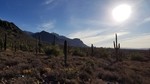 photo thumbnail #6