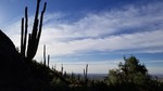 photo thumbnail #15