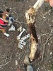 photo thumbnail #2