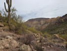 photo thumbnail #7