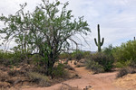 photo thumbnail #1
