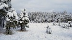 photo thumbnail #8