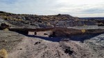 photo thumbnail #4