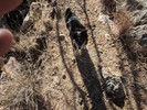 photo thumbnail #2