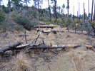 photo thumbnail #1