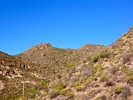 2018-01-12 :1: Miners Needle Loop :: kingsnake