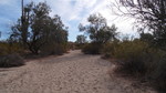 photo thumbnail #3