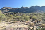 photo thumbnail #3