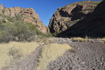 photo thumbnail #4