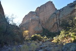 photo thumbnail #5