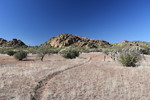 photo thumbnail #9