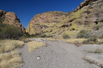 photo thumbnail #12