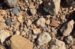 photo thumbnail #13