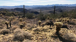 photo thumbnail #9