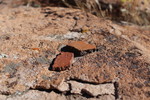 photo thumbnail #11