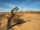photo thumbnail #8