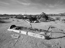 photo thumbnail #9