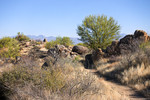 photo thumbnail #10