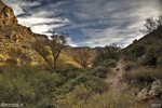 photo thumbnail #10