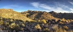 photo thumbnail #4