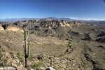 photo thumbnail #9