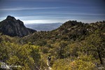photo thumbnail #7