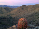 photo thumbnail #2