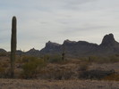 photo thumbnail #10