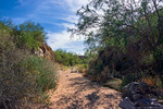 photo thumbnail #2