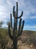 photo thumbnail #7
