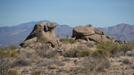 photo thumbnail #6