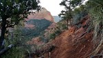 photo thumbnail #6