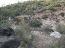 photo thumbnail #3