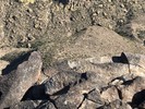 photo thumbnail #12