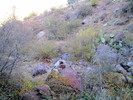 photo thumbnail #1
