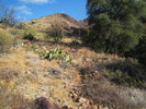 photo thumbnail #3