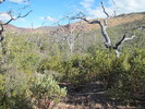 photo thumbnail #7