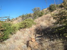 photo thumbnail #9