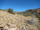 photo thumbnail #10