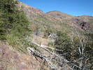 photo thumbnail #11