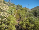 photo thumbnail #12