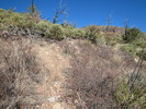 photo thumbnail #13
