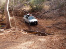 photo thumbnail #2