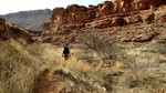 photo thumbnail #6