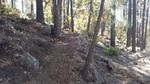 photo thumbnail #7