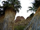 photo thumbnail #14