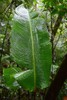 photo thumbnail #15